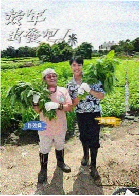 爱迪影视 向往的生活终章 综艺